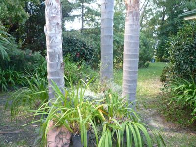 170 Leo Drive, Narrawallee