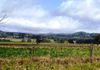 1083 Forest Road, Orange