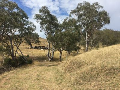 . Sandy Creek Road, Sandy Creek