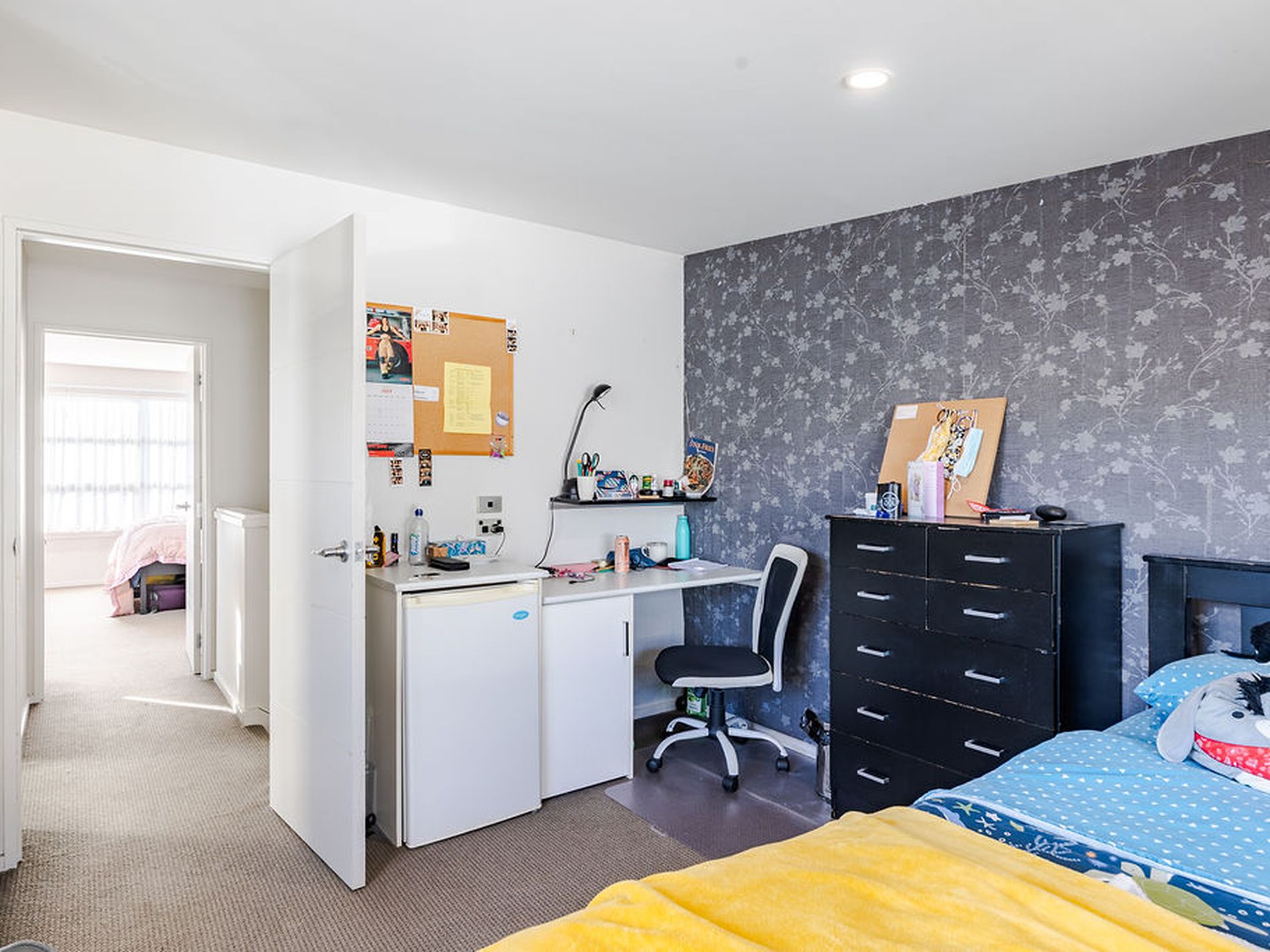 A / 15 Ethel Benjamin Place, Dunedin Central