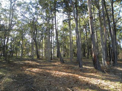 Lot 152, 65 Hayward Road, Wandandian