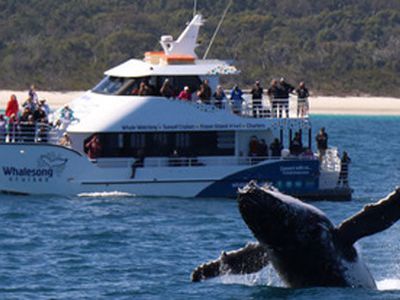 7 Watermelon Way, Kawungan