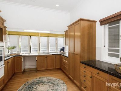 11 Kenilworth Avenue, Hyde Park