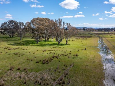 145 Alexanders Lane, Docker