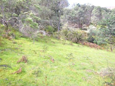 Woolleys Road, Lonnavale