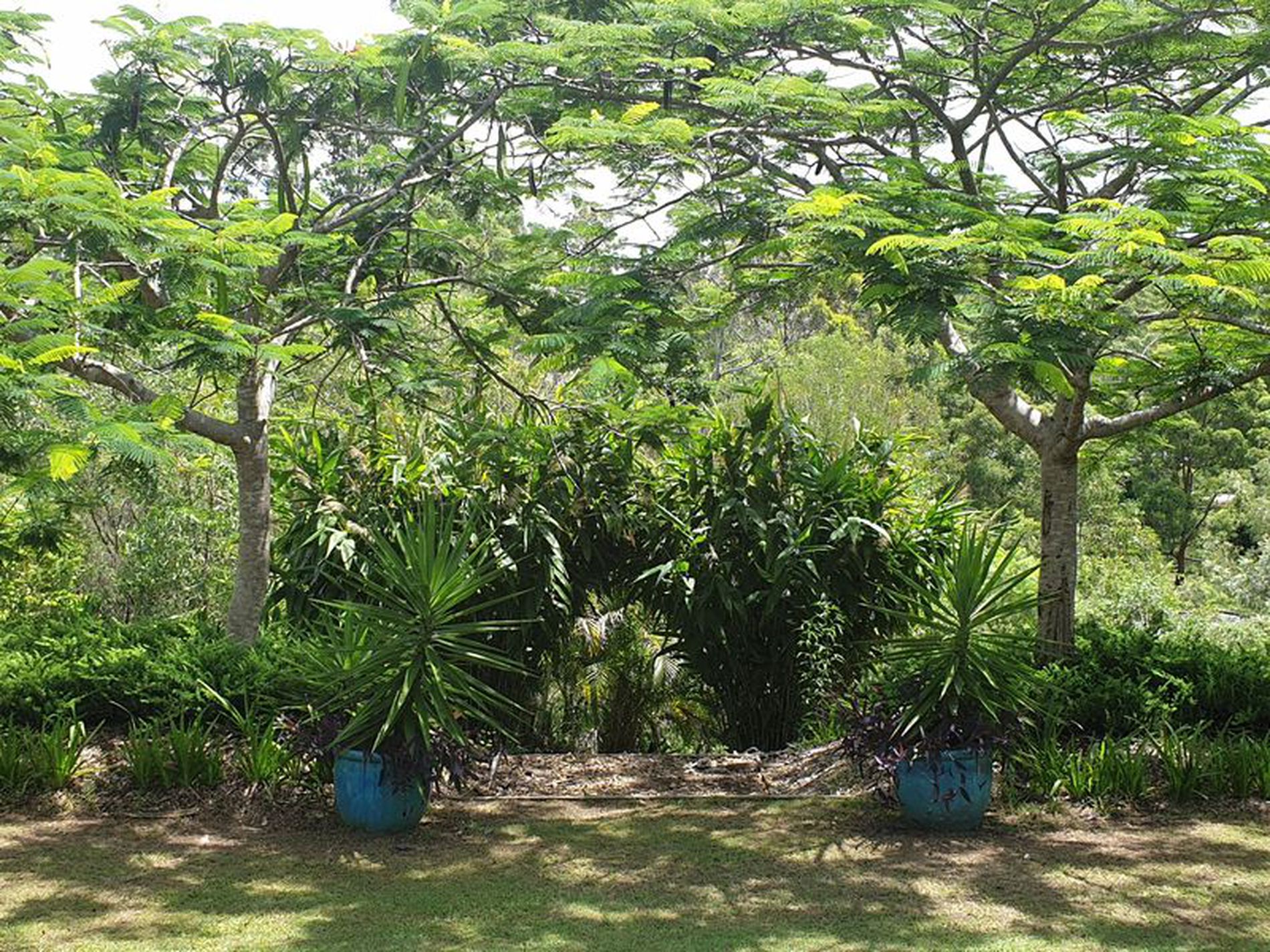 6 Nabberu St, Maudsland